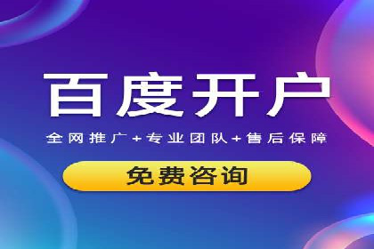搜索引擎营销（SEM）公司某某的客户成功故事